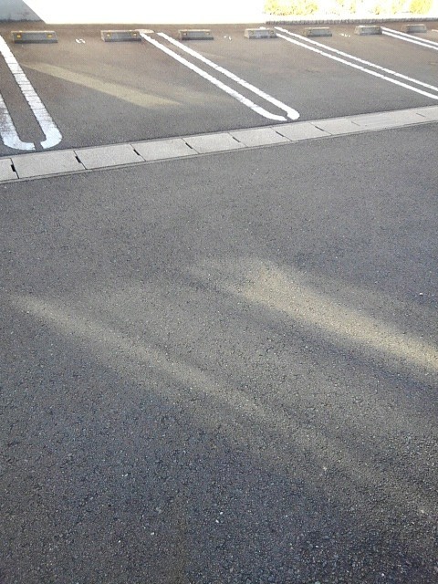 エバーフィールドⅡ その他4