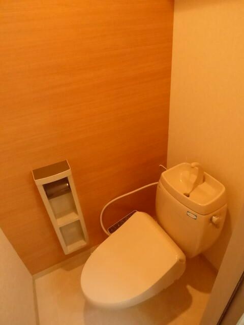 セントポーリア葵D その他2