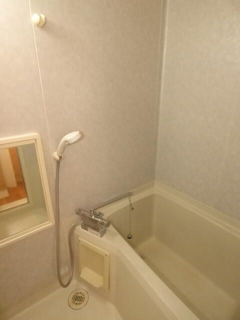 セントポーリア葵D 風呂画像