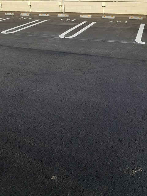 メイプル　中泉 その他4