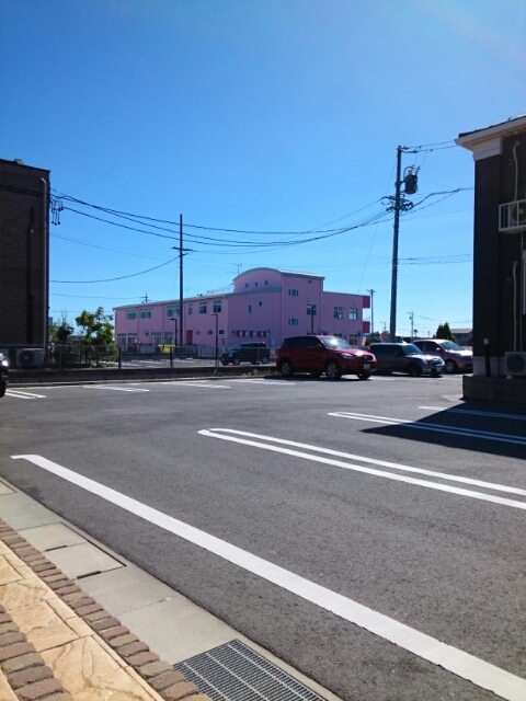 ブドウの木 その他5