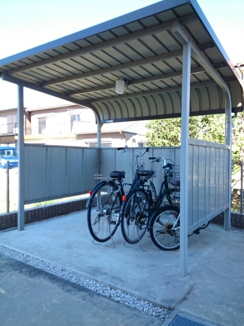 ブドウの木 その他6