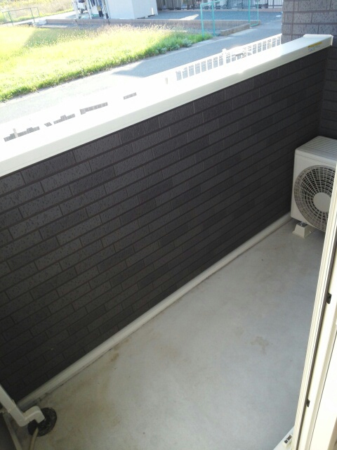 ブドウの木 ベランダ