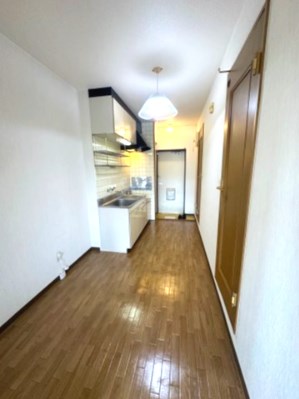 スカイウィング その他12