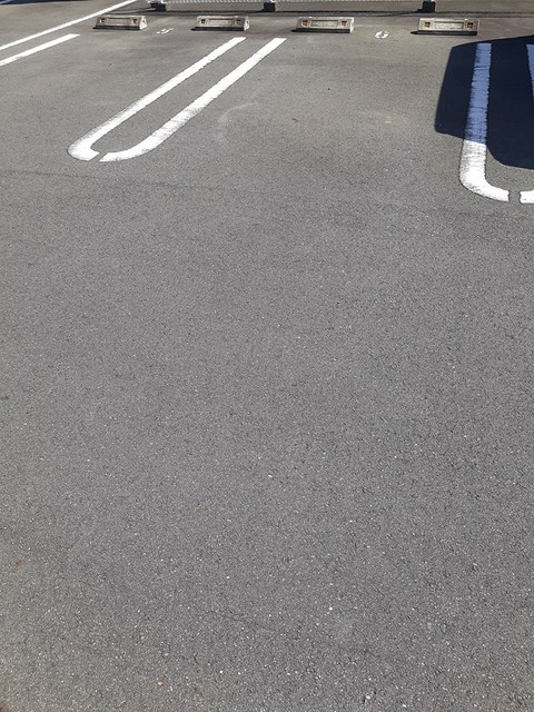 フェリシア その他4