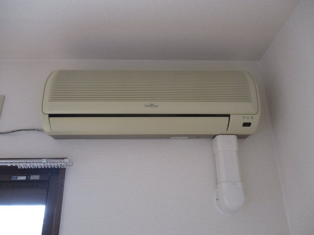 ソフィー その他1