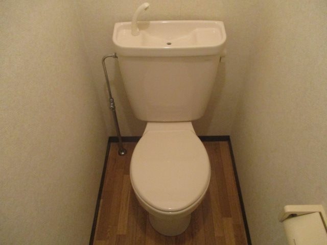 ソフィー その他2