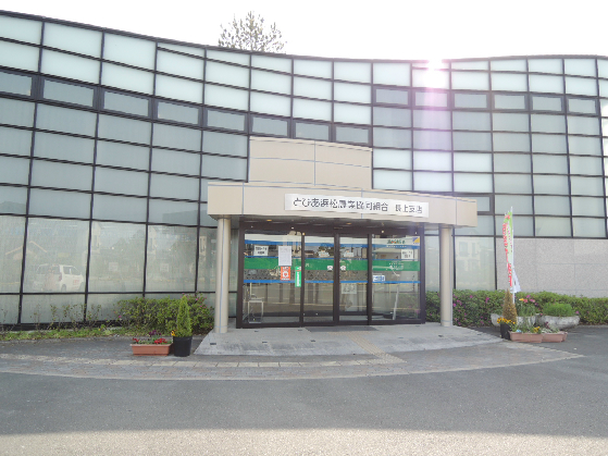 フローレンス門神 周辺画像4