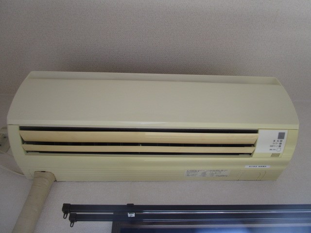 プルメリア その他1