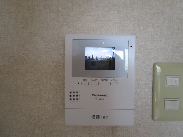 プルメリア その他2