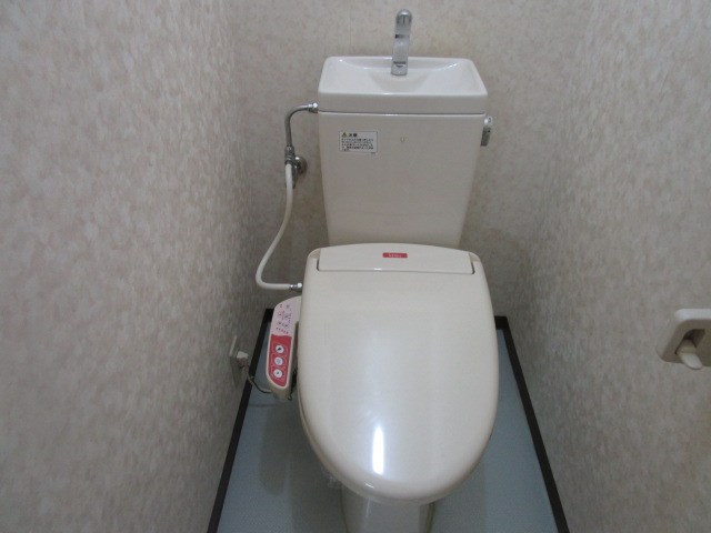 プルメリア その他3