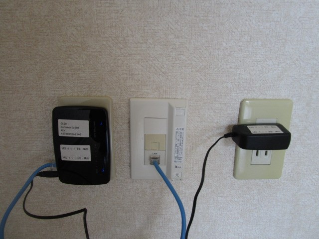 プルメリア その他7