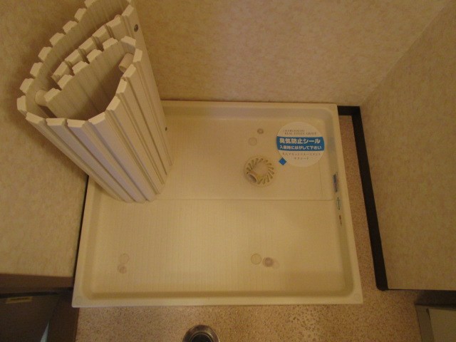 プルメリア その他8