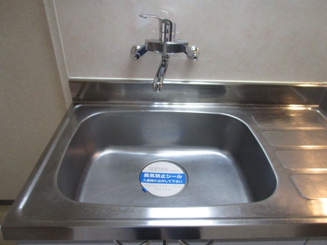 プルメリア その他10