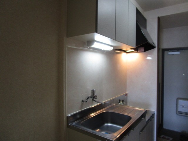 プルメリア その他11