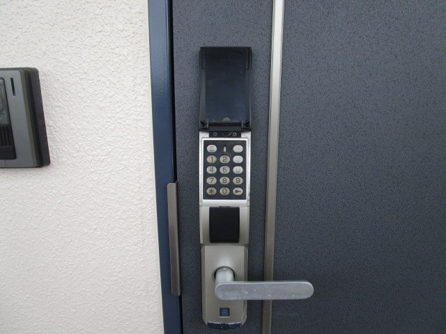 プルメリア その他13