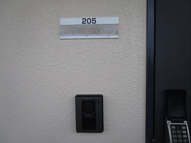 プルメリア その他14