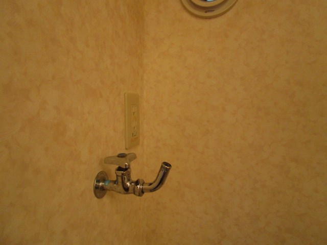 プルメリア その他16