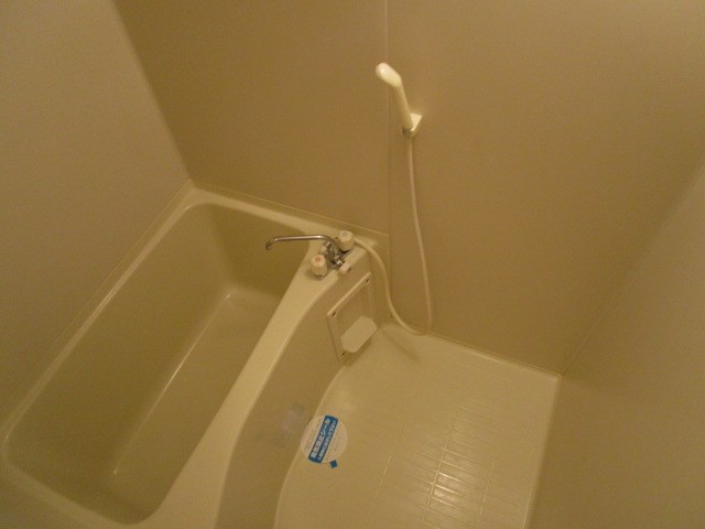 プルメリア その他17