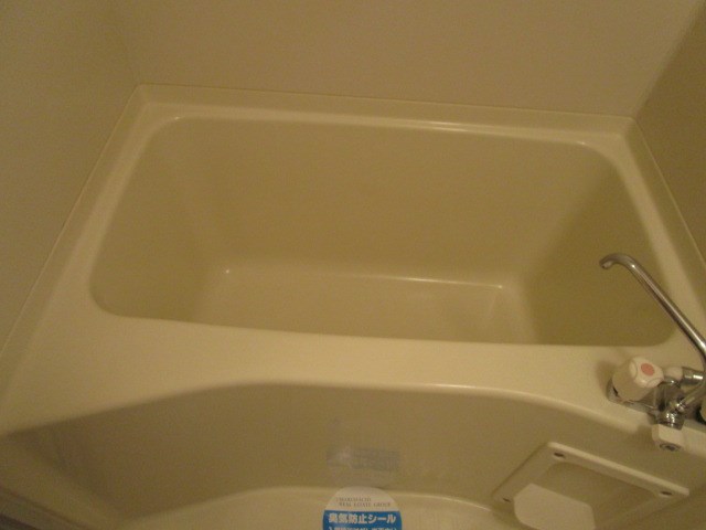 プルメリア その他18