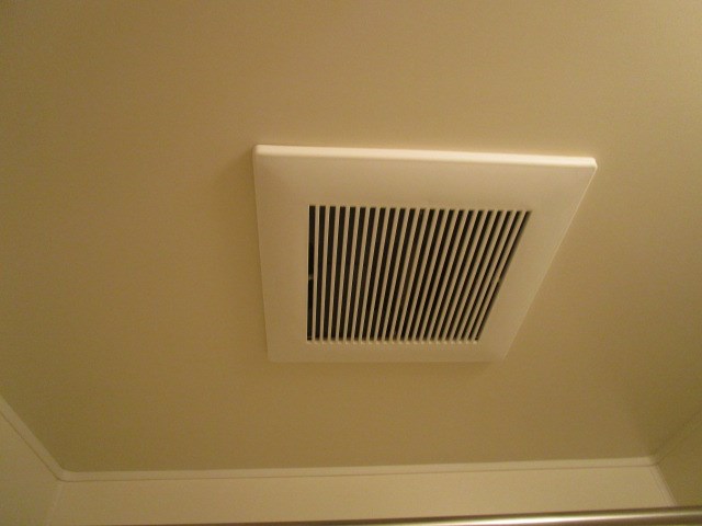 プルメリア その他19