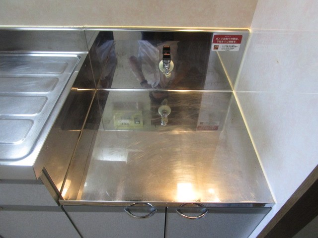 プルメリア その他20