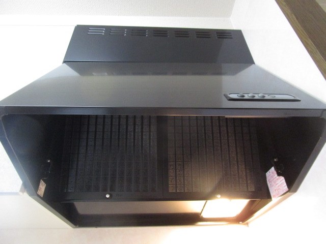 プルメリア その他21