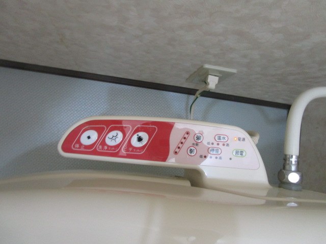 プルメリア その他23