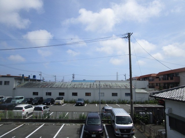 プルメリア その他31