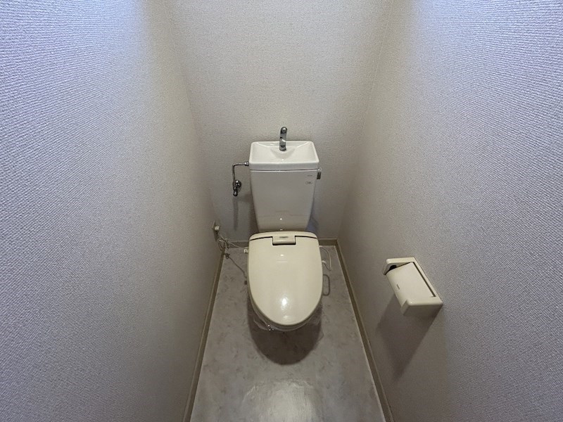 ハミング１ その他2