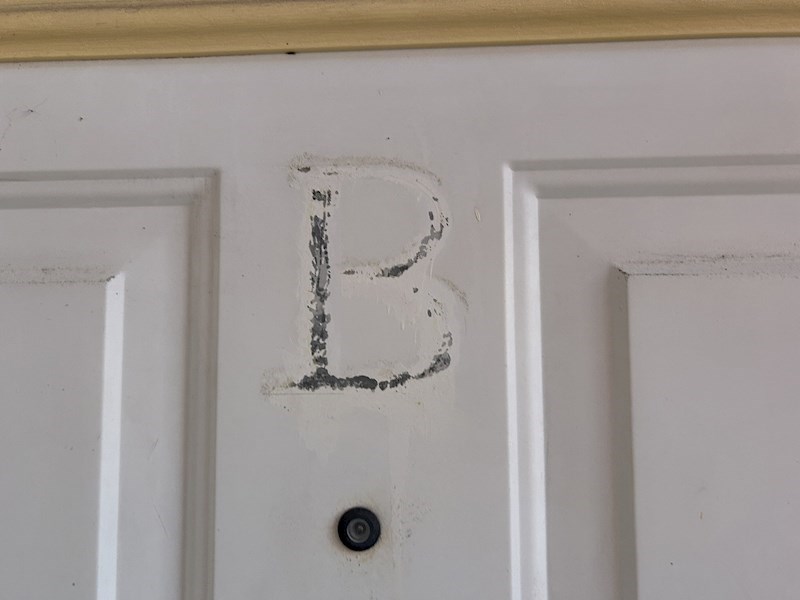 ハミング１ その他15