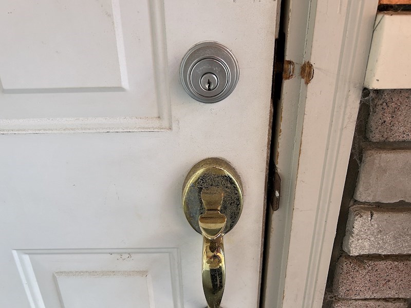 ハミング１ その他16