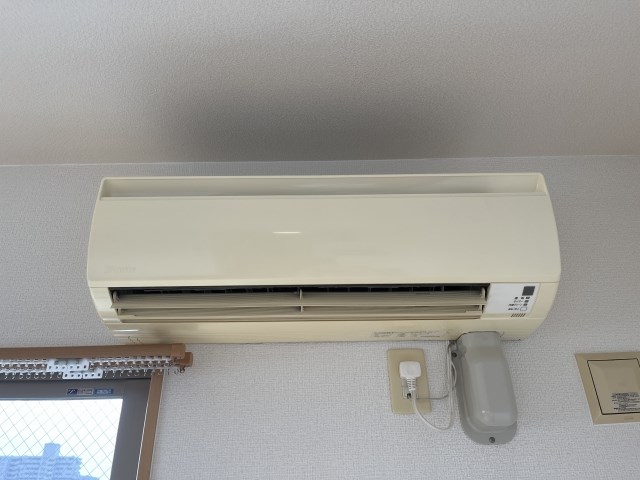 Felice gatto Wada（フェリスガトーワダ） その他1