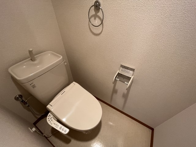 Felice gatto Wada（フェリスガトーワダ） その他4