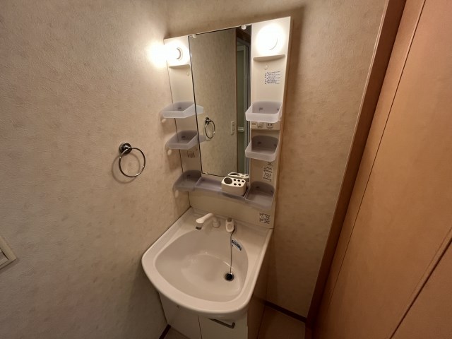 Felice gatto Wada（フェリスガトーワダ） その他5