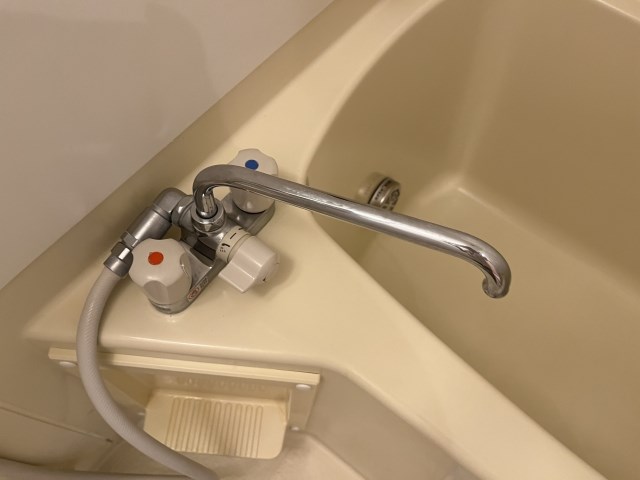 Felice gatto Wada（フェリスガトーワダ） その他10