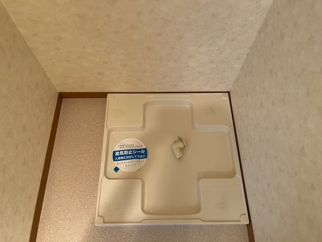 Felice gatto Wada（フェリスガトーワダ） その他12