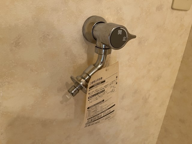 Felice gatto Wada（フェリスガトーワダ） その他38