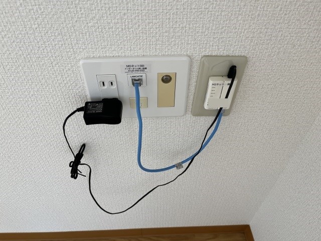 Felice gatto Wada（フェリスガトーワダ） その他39