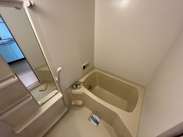 Felice gatto Wada（フェリスガトーワダ） 風呂画像