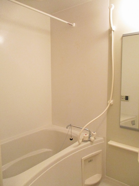 カーサ・プラテリーアＲ 風呂画像