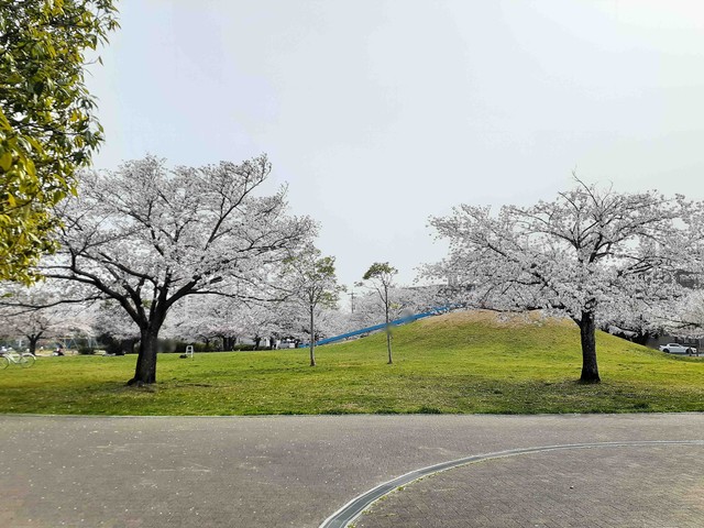 リヴ・プロムネイドＢ その他外観2