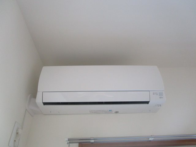 BELL　TREE初生 その他5