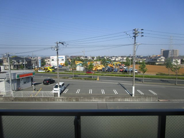 BELL　TREE初生 その他6