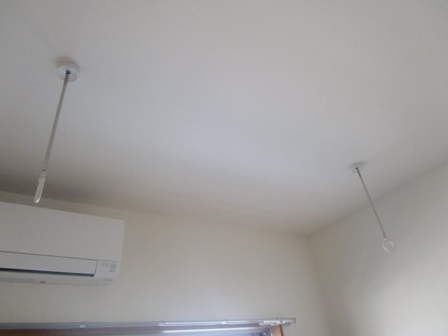 BELL　TREE初生 その他10