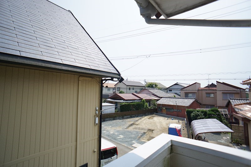 ドルフ向平 その他6