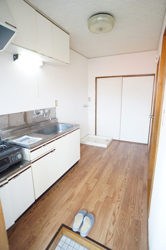 ドルフ向平 その他10