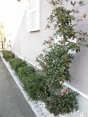 フェアリーヒルズ　ヴィオレ その他6