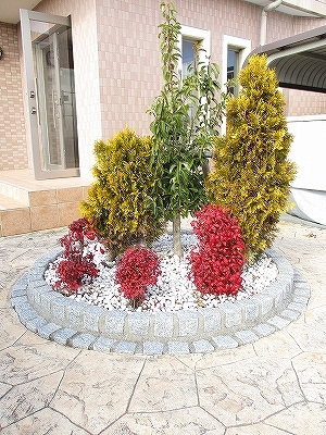 フェアリーヒルズ　ヴィオレ その他10