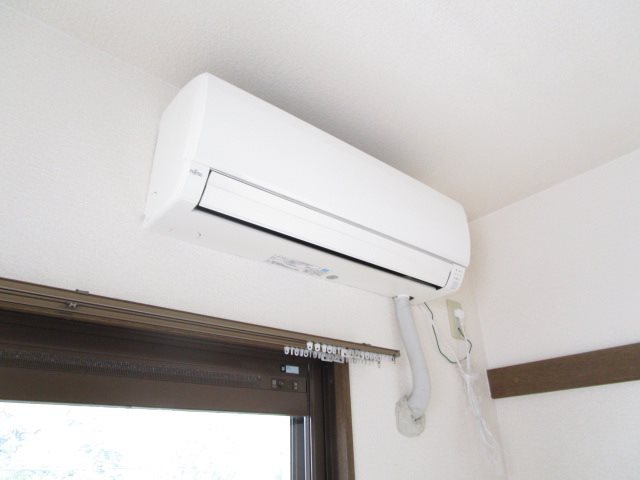 シーガル その他1